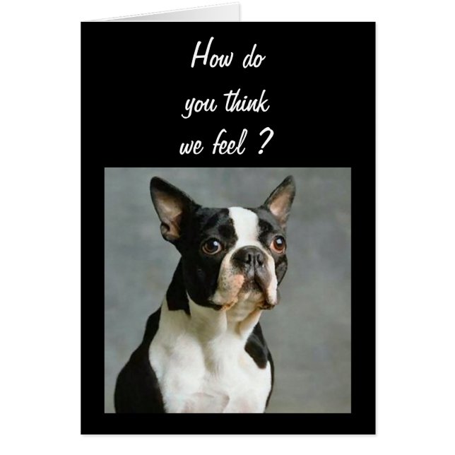 DE GROEP KAN OOK VANDAAG 40 UUR WORDEN (Voorkant)