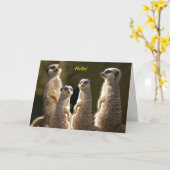De groepsHallo van Meerkat! Kaart (Gele Bloem)