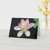 De groet card2 van de waterlelie kaart (Gele Bloem)