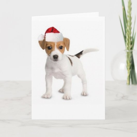 De Groet Card~Jack Russell van Dogs~Original van Feestdagen Kaart (Voorkant)