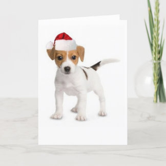 De Groet Card~Jack Russell van Dogs~Original van Feestdagen Kaart