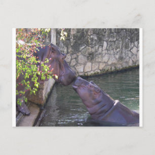 De Groet van de moeder en van Hippo van het Baby Briefkaart