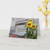 De Groet van de zonnebloem Kaart (Gele Bloem)