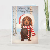 De Groet van Kerstmis van de Hond van de Tekkel Feestdagen Kaart (Voorkant)
