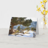 De Groeten van Colorado Kaart (Gele Bloem)