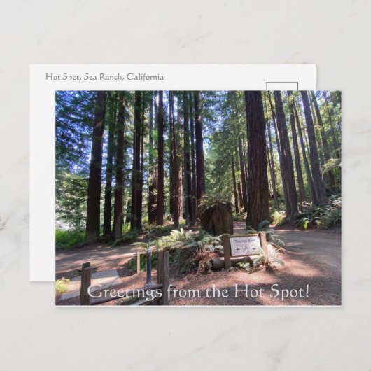 De groeten van de Hot Spot. Briefkaart (Voorkant / Achterkant)