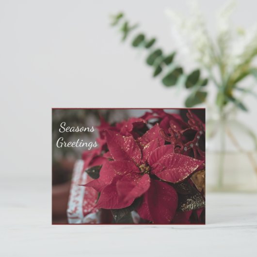 De groeten van de kerstmannen van Poinsettia Seaso Briefkaart (Staand voorkant)