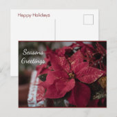 De groeten van de kerstmannen van Poinsettia Seaso Briefkaart (Voorkant / Achterkant)