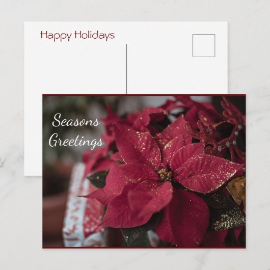 De groeten van de kerstmannen van Poinsettia Seaso Briefkaart (Voorkant / Achterkant)