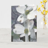 De Groeten van de kornoelje Kaart (Gele Bloem)