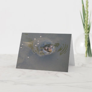 De Groeten van de schildpad! Kaart