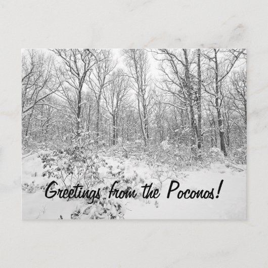 De groeten van de Snowy Poconos Briefkaart (Voorkant)