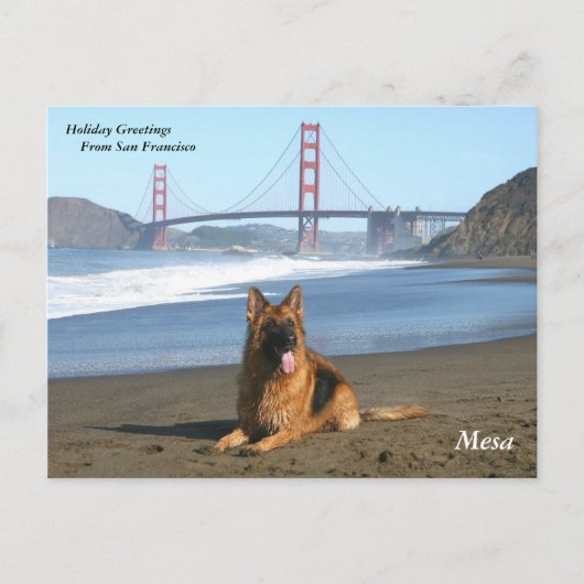 De Groeten van de vakantie van San Francisco Feestdagenkaart (Voorkant)