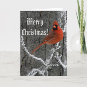 De Groeten van de Zonnestilstand van de winter Feestdagen Kaart