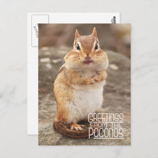 De groeten van het Briefkaart Poconos Chipmunk (Voorkant / Achterkant)