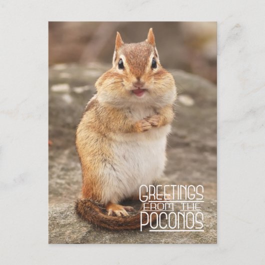 De groeten van het Briefkaart Poconos Chipmunk (Voorkant)