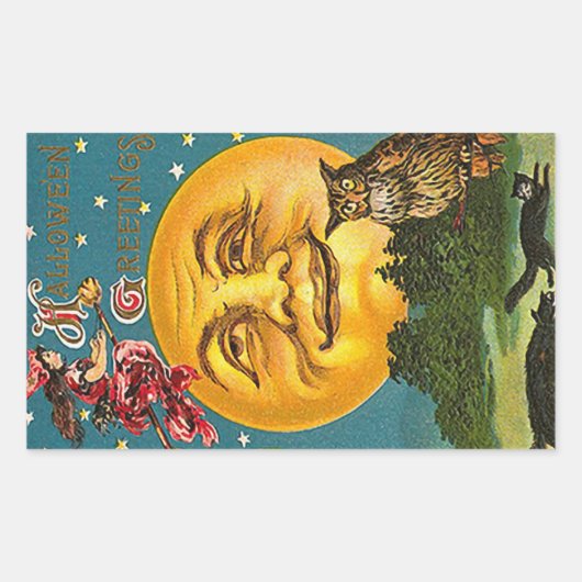 De groeten van het Hoogtepunt Moon Owl Witch Rechthoekige Sticker (Voorkant)