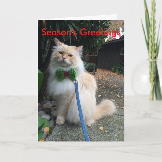 De Groeten van het seizoen Feestdagen Kaart (Voorkant)