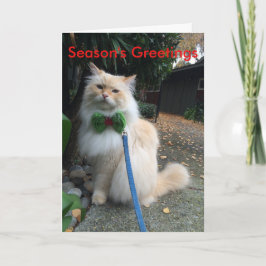 De Groeten van het seizoen Feestdagen Kaart