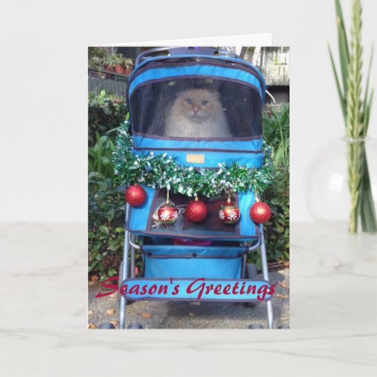 De Groeten van het seizoen Feestdagen Kaart (Voorkant)