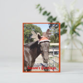 De Groeten van het Seizoen van het paard Feestdagenkaart (Staand voorkant)