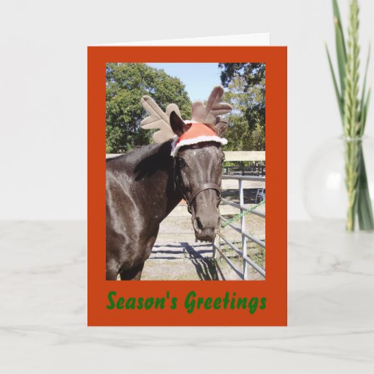 De Groeten van het Seizoen van Horsey Feestdagen Kaart (Voorkant)