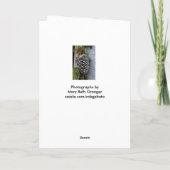 De Groeten van Kerstmis Feestdagen Kaart (Achterkant)