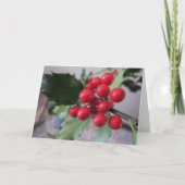 De Groeten van Kerstmis Feestdagen Kaart (Voorkant)