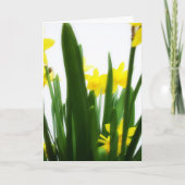 De Groeten van Pasen Feestdagen Kaart (Voorkant)