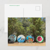De groeten van Santa Cruz. Briefkaart (Voorkant / Achterkant)