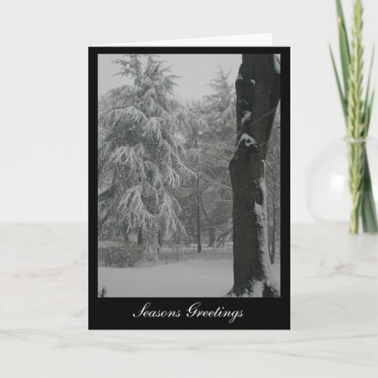 De Groeten van seizoenen Feestdagen Kaart (Voorkant)