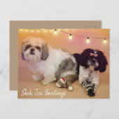 De groeten van Shih Tzu Briefkaart (Voorkant / Achterkant)