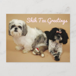 De groeten van Shih Tzu Briefkaart