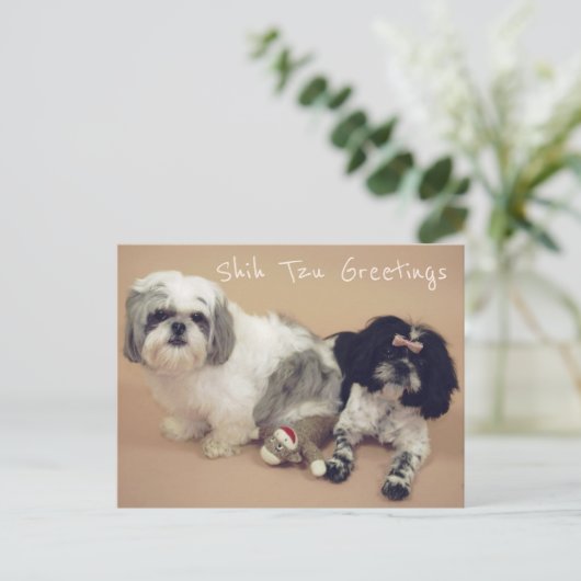 De groeten van Shih Tzu Briefkaart (Staand voorkant)
