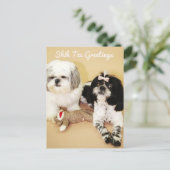 De groeten van Shih Tzu Briefkaart (Staand voorkant)
