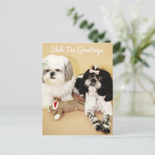 De groeten van Shih Tzu Briefkaart (Staand voorkant)