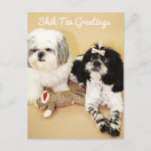 De groeten van Shih Tzu Briefkaart (Voorkant)