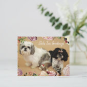 De groeten van Shih Tzu Briefkaart (Staand voorkant)