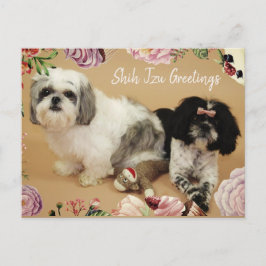 De groeten van Shih Tzu Briefkaart