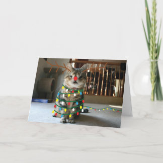 De groeten van Sneezin Feestdagen Kaart