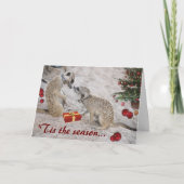 De Groeten van Zaphod en van het Seizoen Monkulus Feestdagen Kaart (Voorkant)