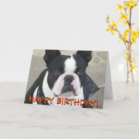 De groetenkaart van Boston Terrier Kaart (Gele Bloem)