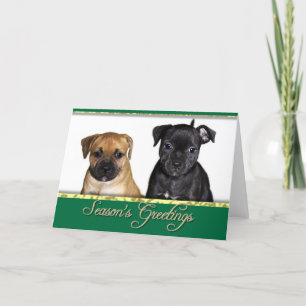 De groetenStaffordshire bull terrier van het Feestdagen Kaart