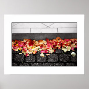 DE GROND DIE JE OP Poster WALKEERDE