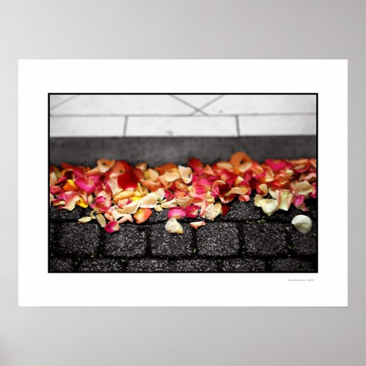 DE GROND DIE JE OP Poster WALKEERDE (Voorkant)