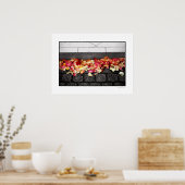 DE GROND DIE JE OP Poster WALKEERDE (Keuken)