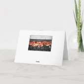 De GROND die U OP Kaart hebt GELOPEN (Achterkant)