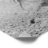 DE GROND MET KLYDESDALE HORSES POSTER (Hoek)