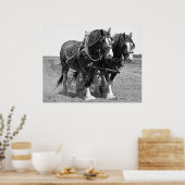 DE GROND MET KLYDESDALE HORSES POSTER (Keuken)