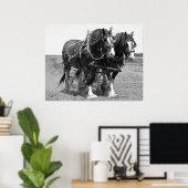 DE GROND MET KLYDESDALE HORSES POSTER (Thuiskantoor)
